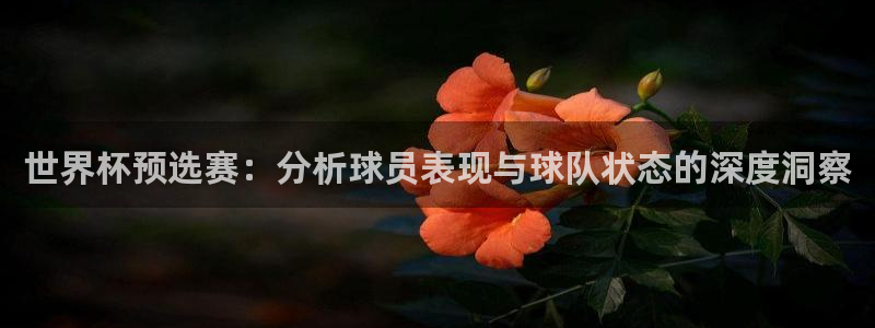 2026年足球世界杯赛程时间表：世界杯预选赛：分析球员表现与球队状态的深度洞察