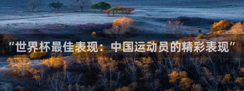 2026足球世界杯赛程时间表：“世界杯最佳表现：中国运动员的精彩表现”