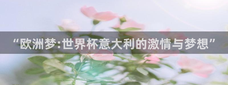 欧洲世界杯预选赛赛程:“欧洲梦:世界杯意大利的激情与梦想”