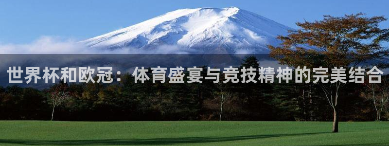 世界杯足球：世界杯和欧冠：体育盛宴与竞技精神的完美结合