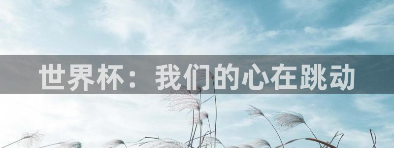 法国杯2026赛程表：世界杯：我们的心在跳动