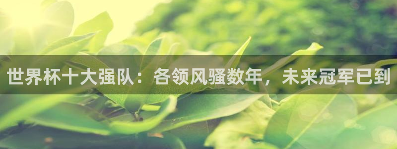 世界杯比赛：世界杯十大强队：各领风骚数年，未来冠军已到