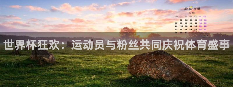 世界杯2026预选赛：世界杯狂欢：运动员与粉丝共同庆祝体育盛事