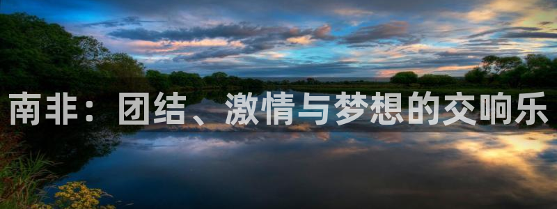 世界杯直播免费观看：南非：团结、激情与梦想的交响乐