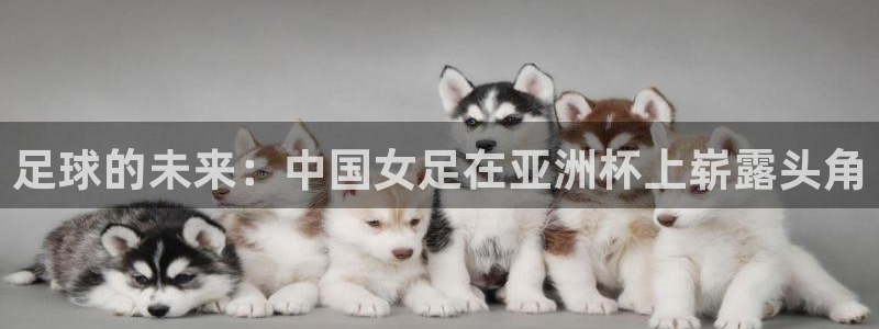 2026世界杯对阵图：足球的未来：中国女足在亚洲杯上崭露头角