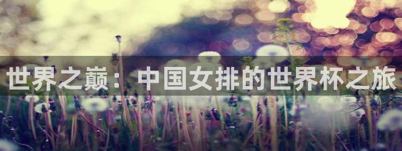 世界杯直播高清：世界之巅：中国女排的世界杯之旅