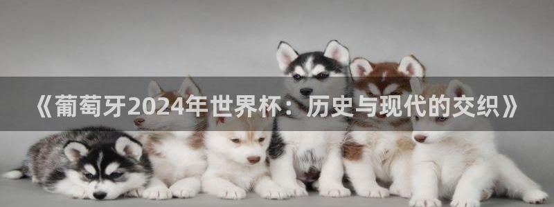 世界杯足球赛2026赛程时间：《葡萄牙2024年世界杯：历史与现代的交织》