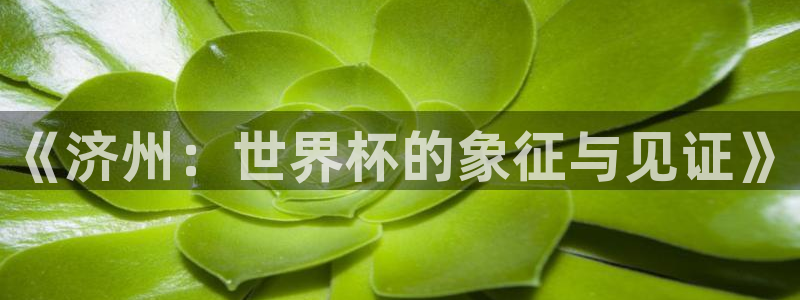 世界杯预选赛规则：《济州：世界杯的象征与见证》
