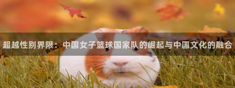 世界杯第一场比赛：超越性别界限：中国女子篮球国家队的崛起与中国文化的融合