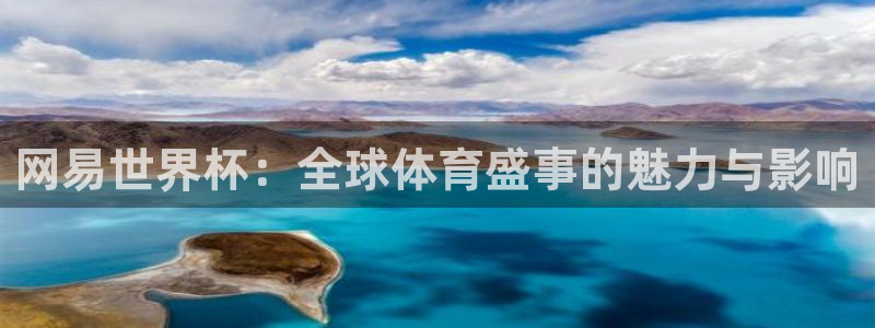 足球世预赛：网易世界杯：全球体育盛事的魅力与影响