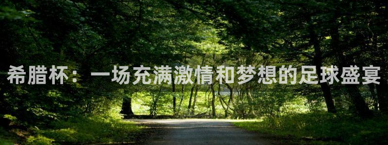世界杯赛程表：希腊杯：一场充满激情和梦想的足球盛宴